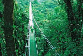 Selvatura Treetop Walkways - Suspension Bridges.